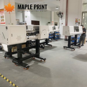 MAPLE IN-DTF VENUS E60