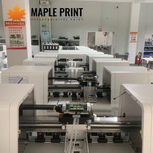 MAPLE IN-DTF VENUS E60